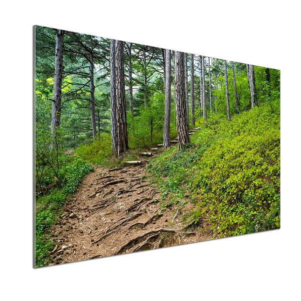 Panel do kuchni Leśna ścieżka