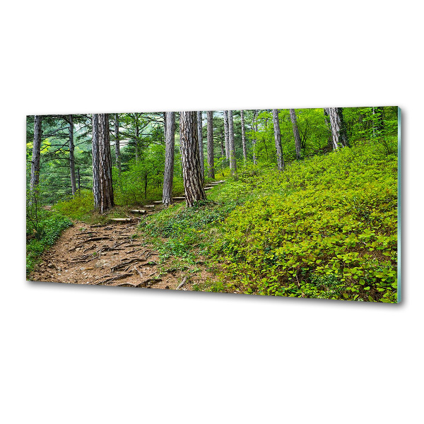 Panel do kuchni Leśna ścieżka