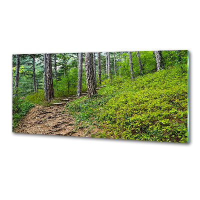 Panel do kuchni Leśna ścieżka