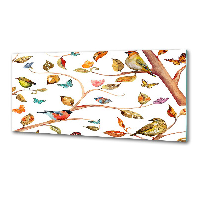 Achterwand keuken Vogels en vlinders