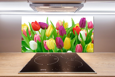 Spatplaat keuken Kleurrijke tulpen