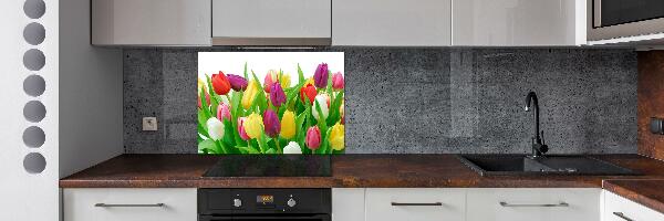 Spatplaat keuken Kleurrijke tulpen