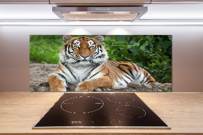 Panel do kuchni Tygrys syberyjski