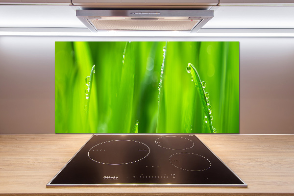 Panel dekor szkło Młody owies