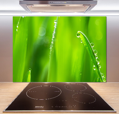 Keuken achterwand Jonge haver