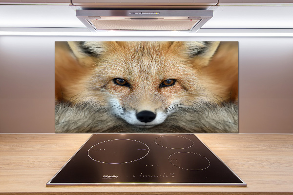 Panel szkło hartowane do kuchni Lis