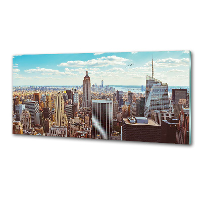 Panel lacobel Nowy Jork lot ptaka