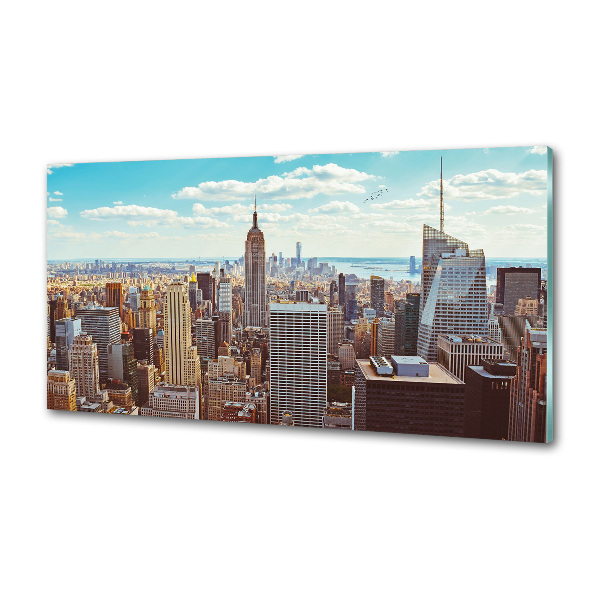 Panel lacobel Nowy Jork lot ptaka