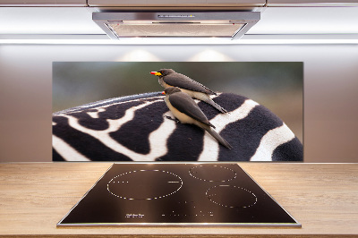 Panel do kuchni Ptaki i zebra