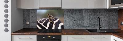 Panel do kuchni Ptaki i zebra