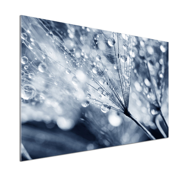 Panel do kuchni Nasiona dmuchawca