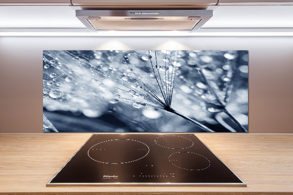 Spatscherm keuken Paardenbloemzaden