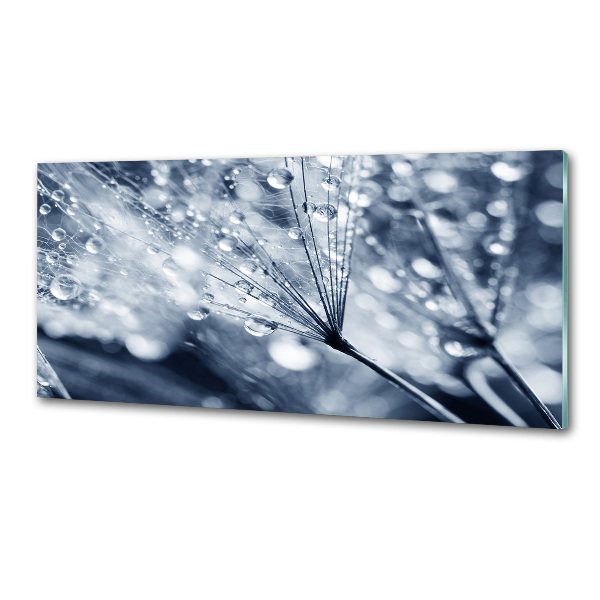 Panel do kuchni Nasiona dmuchawca