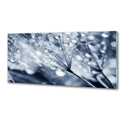 Panel do kuchni Nasiona dmuchawca