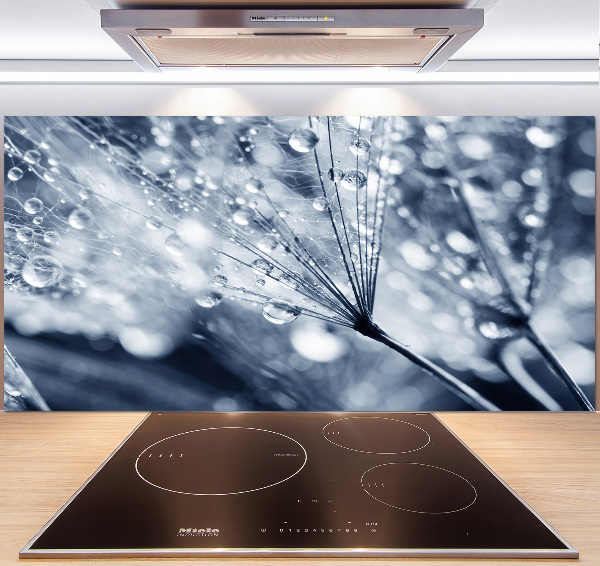 Panel do kuchni Nasiona dmuchawca