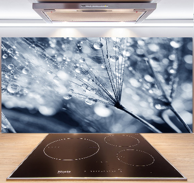 Panel do kuchni Nasiona dmuchawca