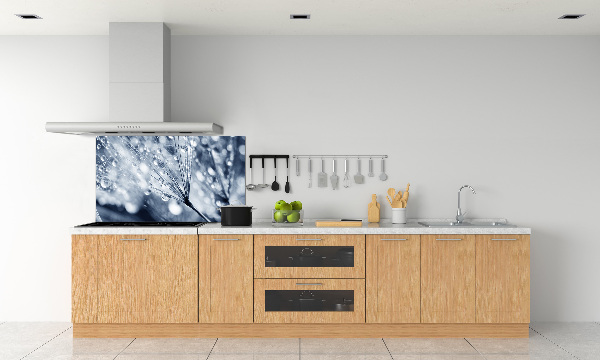 Spatscherm keuken Paardenbloemzaden