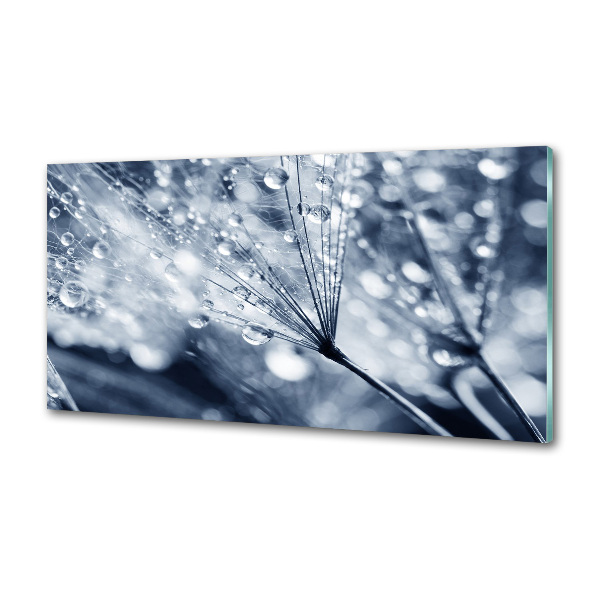 Panel do kuchni Nasiona dmuchawca