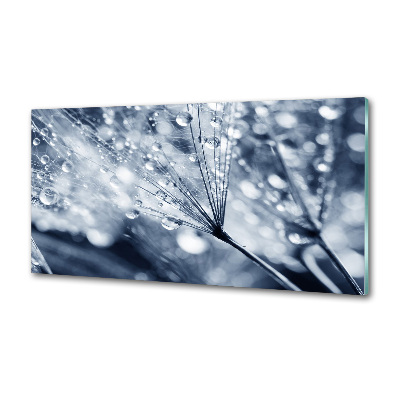 Panel do kuchni Nasiona dmuchawca