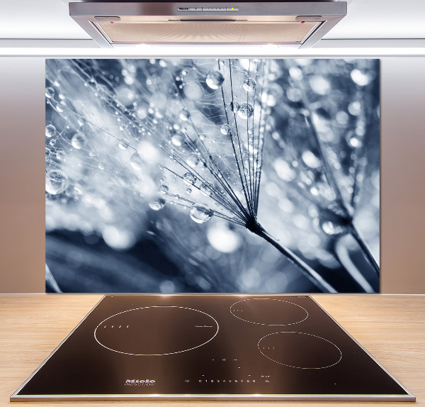 Panel do kuchni Nasiona dmuchawca