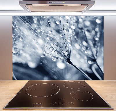 Panel do kuchni Nasiona dmuchawca