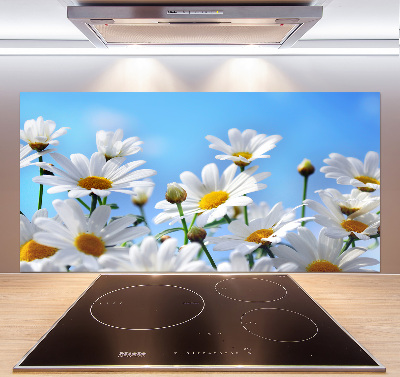 Panel między meble w kuchni Stokrotki