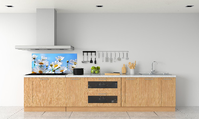 Spatplaat keuken Madeliefjes