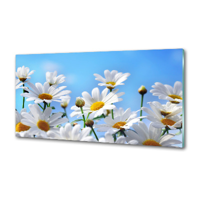 Panel między meble w kuchni Stokrotki