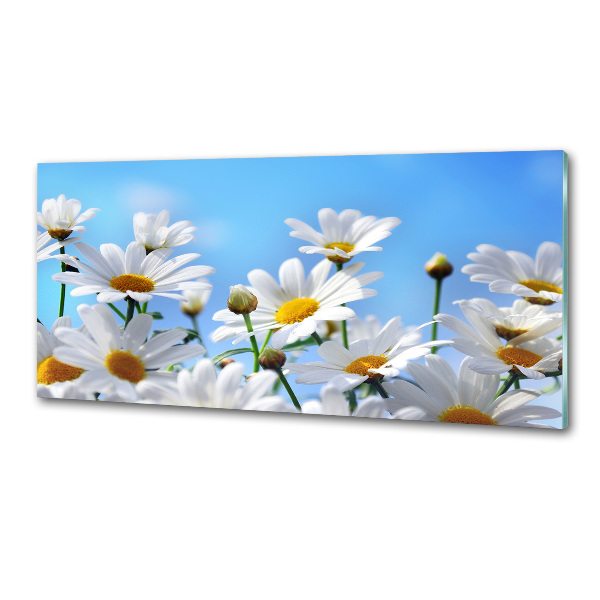 Panel między meble w kuchni Stokrotki