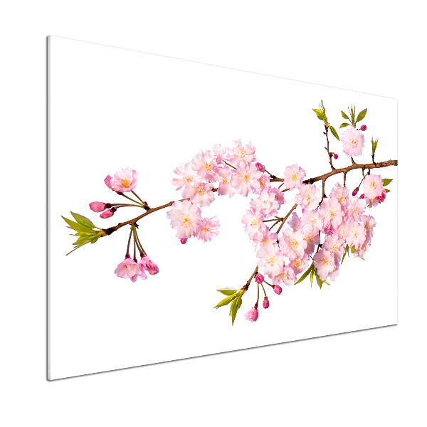 Panel dekor szkło Dzika róża