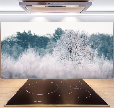 Panel dekor szkło Drzewa zimą