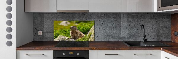 Keuken achterwand Tatra-marmot