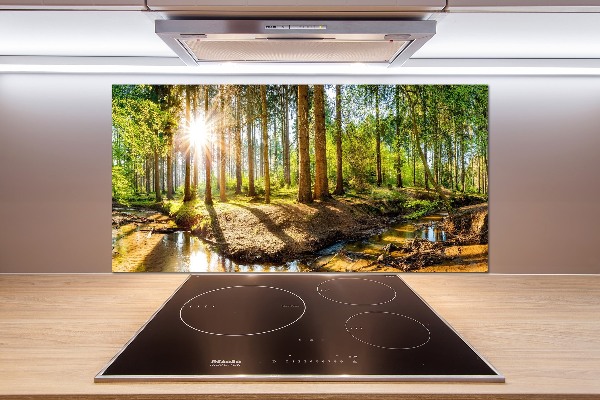 Spatscherm keuken Panorama van het bos