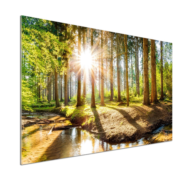 Spatscherm keuken Panorama van het bos