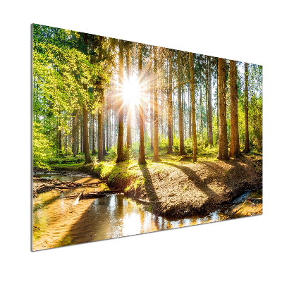 Panel dekor szkło Panorama las