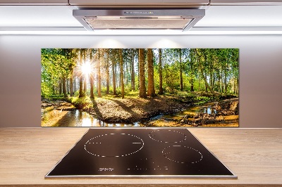 Spatscherm keuken Panorama van het bos