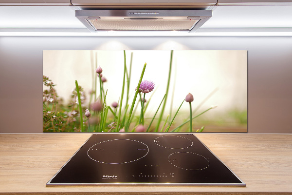 Glazen achterwand keuken Bieslook