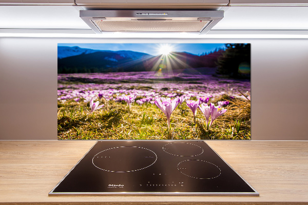 Spatplaat keuken Krokussen in de open plek