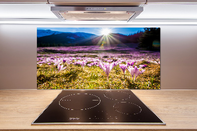 Panel do kuchni Krokusy na polanie