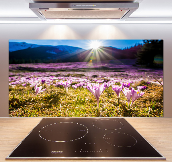 Panel do kuchni Krokusy na polanie