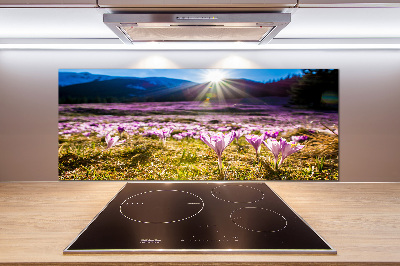 Spatplaat keuken Krokussen in de open plek