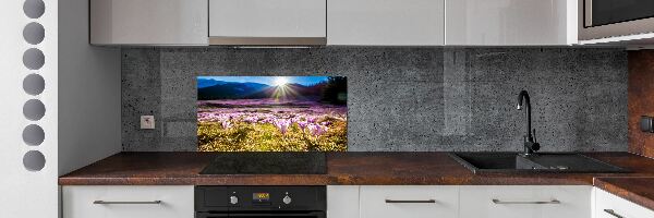 Spatplaat keuken Krokussen in de open plek