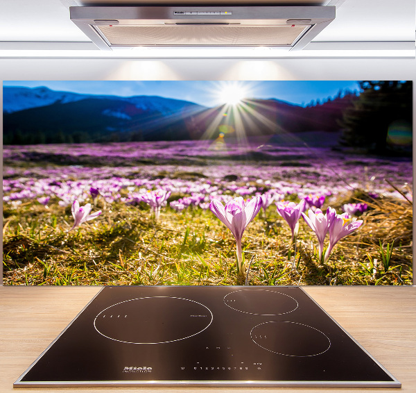 Spatplaat keuken Krokussen in de open plek