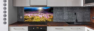 Panel do kuchni Krokusy na polanie