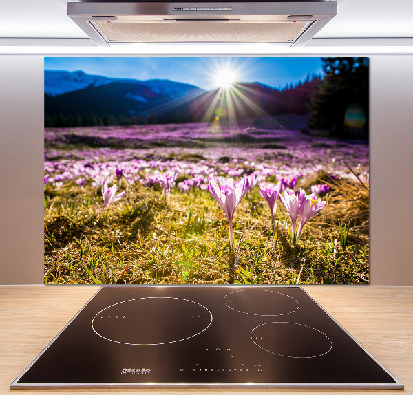 Spatplaat keuken Krokussen in de open plek