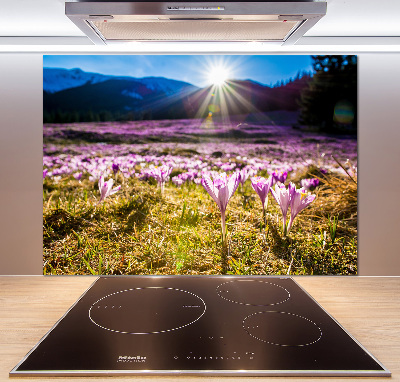 Spatplaat keuken Krokussen in de open plek