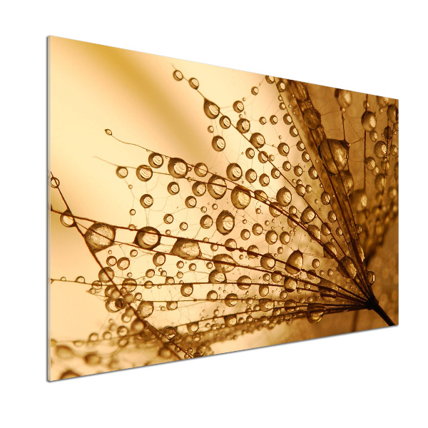 Panel do kuchni Nasiona dmuchawca