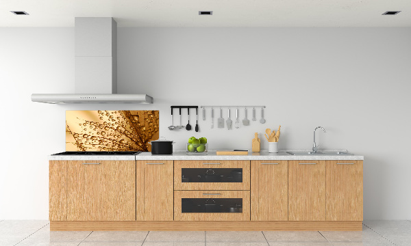 Spatplaat keuken Paardenbloemzaden