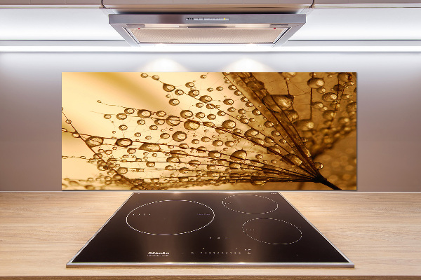 Panel do kuchni Nasiona dmuchawca