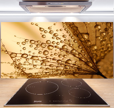 Panel do kuchni Nasiona dmuchawca